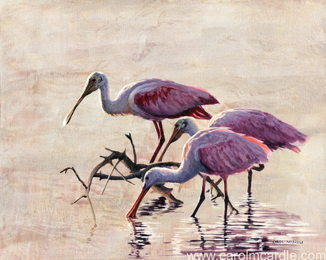 Spoonbill Splendor II 16"x20"